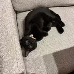 むぎたろうのアイコン