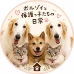 🐾 ボルゾイと保護っ子たちの日常｜ワンコ亭のアイコン