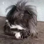 MOJRA69〜飼い主のQOL爆上げ ↗愛用品ロ グ〜のアイコン