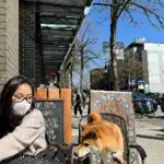 Mận Vănのアイコン